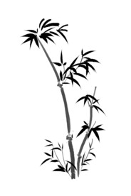 竹子