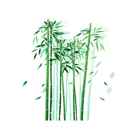 竹子