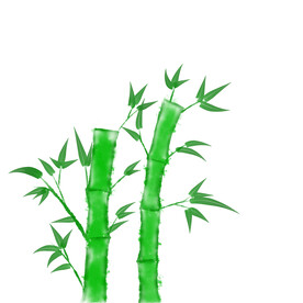 竹子