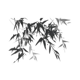 竹子