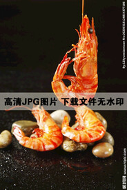 北极对虾