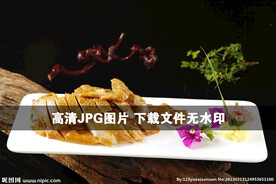 秘制烧鸡  