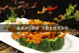 大葱烧海参