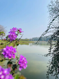 湖边风景