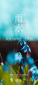 雨水