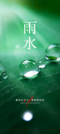雨水