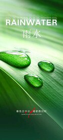 雨水