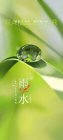 雨水