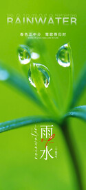 雨水