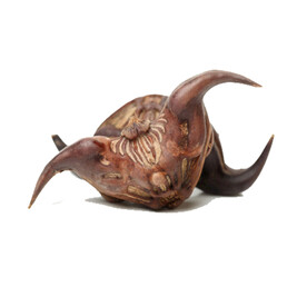 菱角