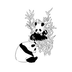 熊猫