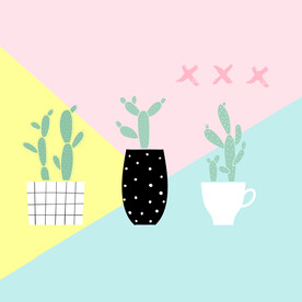 小清新画芯 