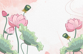 荷花插画