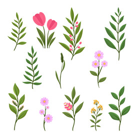 花草素材