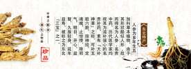 东北人参海报设计