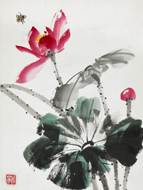 水彩画 荷花与蜜蜂