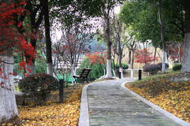公园