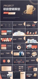 高端大气商业项目营销策划书