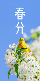 春分
