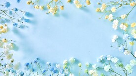 花背景