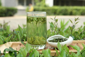 绿茶