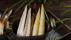 竹笋
