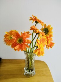 花卉装饰