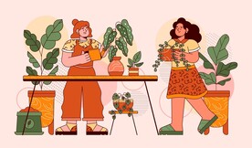 花店插画
