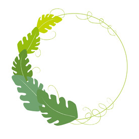 植物边框