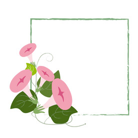 牵牛花边框
