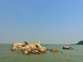 大海