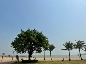 海边沙滩