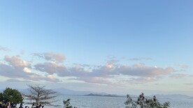 大海