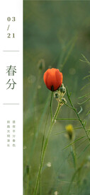 春分