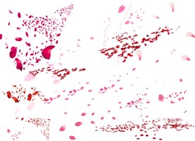 玫瑰花瓣 