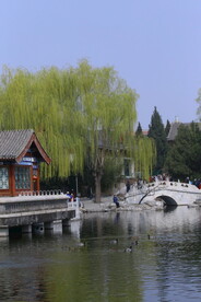 大观园风景 