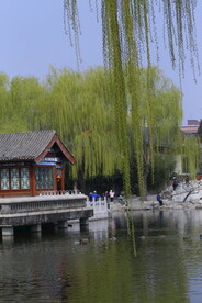 大观园风景  