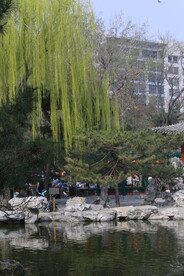 大观园风景 