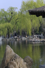 大观园风景  