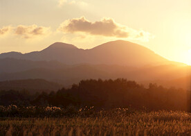 夕阳