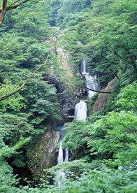 高山流水
