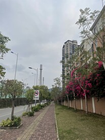 路边小景
