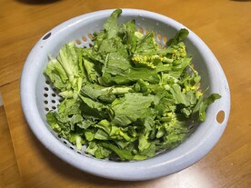 蔬菜原料