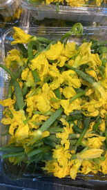 丝瓜花
