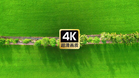 鸟瞰俯视田野小路树林美景