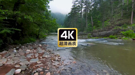 河流两岸丛林美景