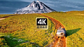 湿地景区飞驰的汽车