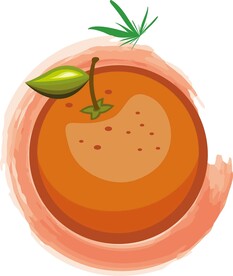 矢量水果素材