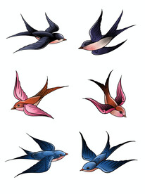 燕子