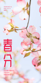 春分